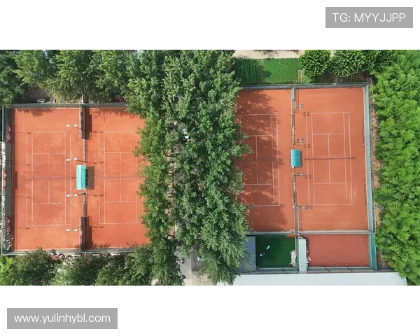 网球红土场与硬地草地场地特点对比分析