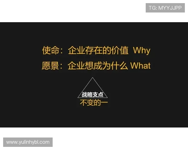 围绕梅斯俱乐部发展历程与未来愿景的深度探索与战略前瞻综合研究报告